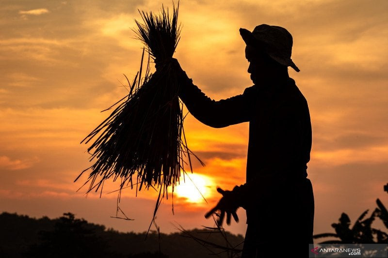  Korporatisasi Petani, Model Optimalisasi Reforma Agraria