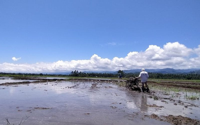  Sumatra Mandiri Pangan, Solusi Kolektif Amankan Pasokan