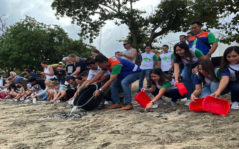  Bantu Ekosistem, BRINS Lepas Tukik di Pantai Kuta