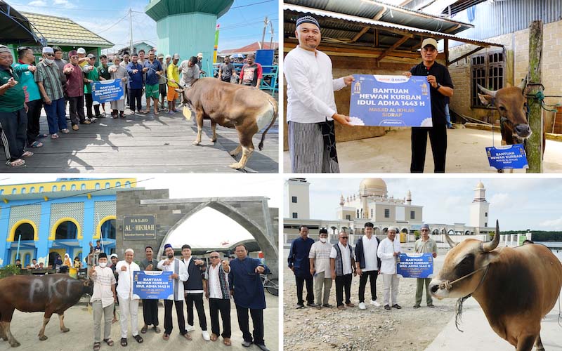  Berbagi Berkah Iduladha, PKT Salurkan Bantuan 9 Sapi Kurban