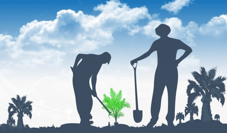 Jurus Peremajaan Sawit Rakyat Perbarui Data Produktivitas Lahan