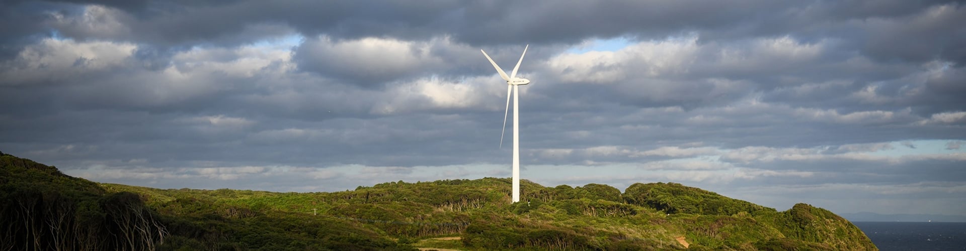  BUMN China Dukung PLN Kembangkan Energi Terbarukan 