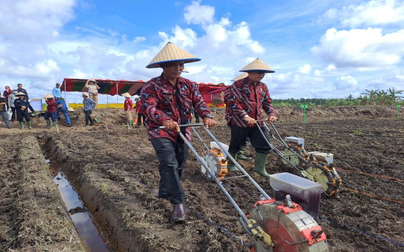  Petani di Lahan Gambut Banyuasin Terapkan Pertanian Ramah Lingkungan