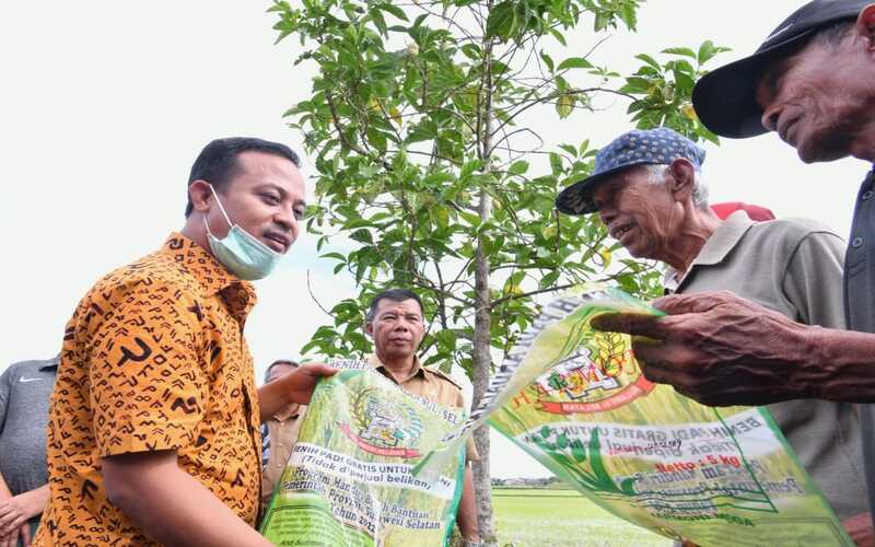  Sulsel Salurkan 1,2 Juta Kg Benih Padi Mandiri