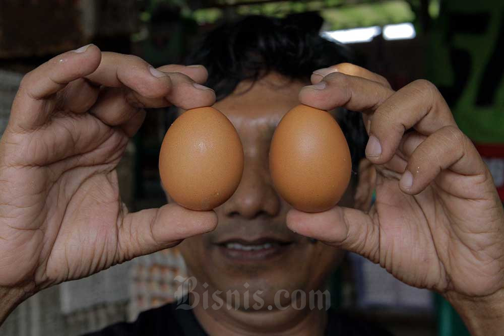  Harga Telur Ayam di DKI Jakarta Naik Menjadi Rp28.750 Per Kilogram