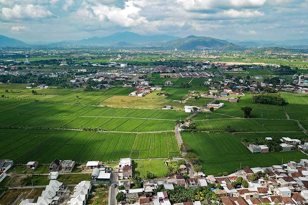  Lahan Pertanian di Kota Mataram Mulai Menyusut