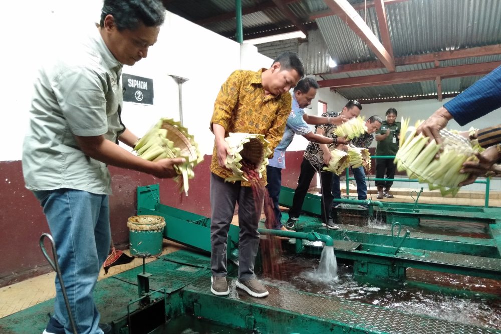Tradisi Wiwit kopi yang dilakukan oleh PTPN IX di Banaran 1911 yang berada di wilayah Gemawang, Jambu,Kabupaten Semarang. /Bisnis-Alif N. Rizqi 