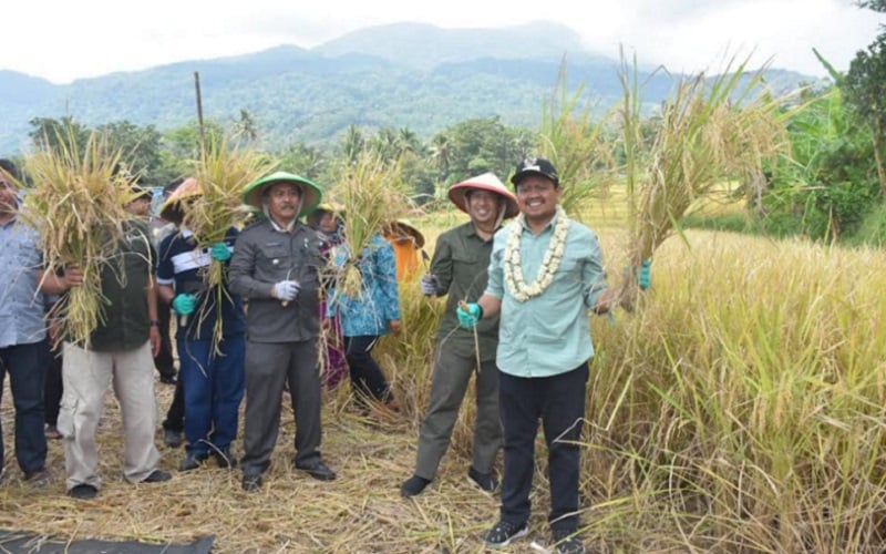  Desa Cikurubuk di Sumedang Jadi Role Model Budi Daya Padi Organik