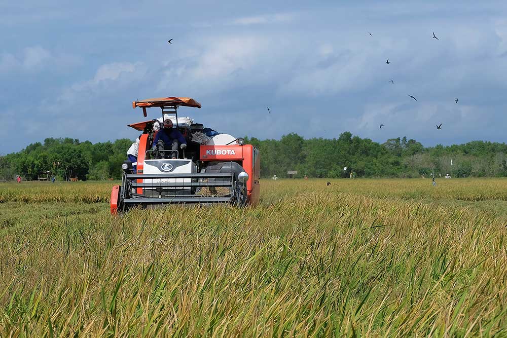  Petani Mulai Menggunakan Mesin Pemanen Padi Karena Lebih Efisien