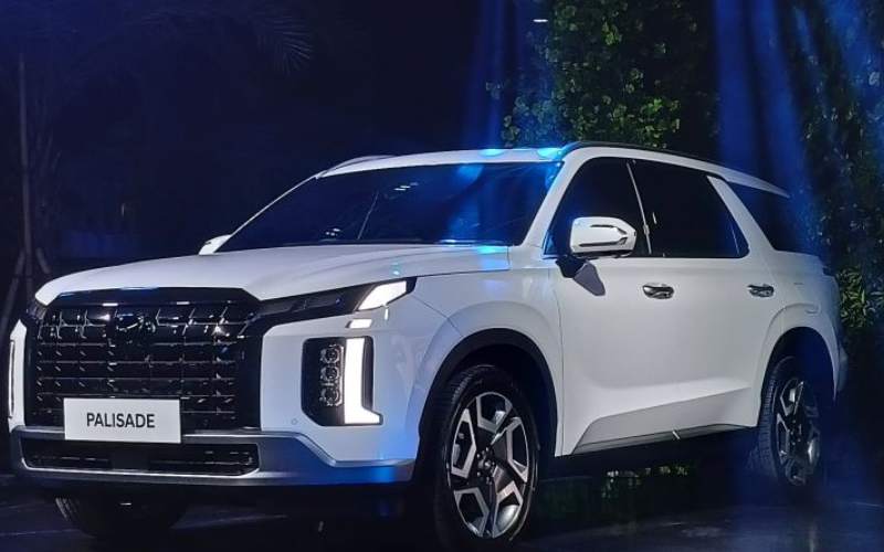  Konsumen Palisade Lama Tak Kebagian Mobil, Kok Bisa?