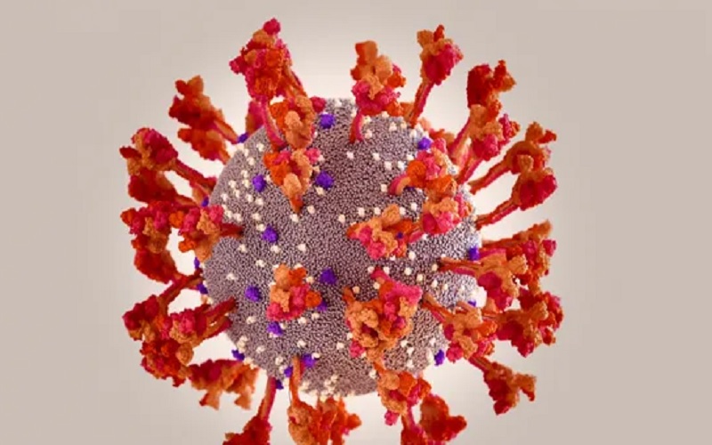 Tangkapan layar- Ilustrasi Virus Corona varian Omicron. JIBI/Bisnis-Nancy Junita