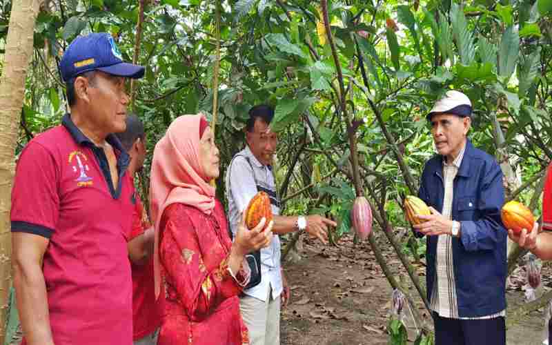 Ketua GPEI Jatim Isdarmawan Asrikan (kanan) saat mengunjungi kebun kelompok tani Tirto Mulyo, Desa Kemloko, Nglegok, Kabupaten Blitar, Sabtu (23/7/2022)./Bisnis-Peni Widarti