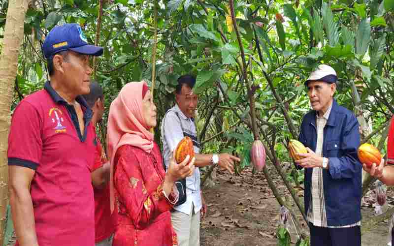  GPEI Jatim Dorong Petani Kakao Genjot Produktivitas