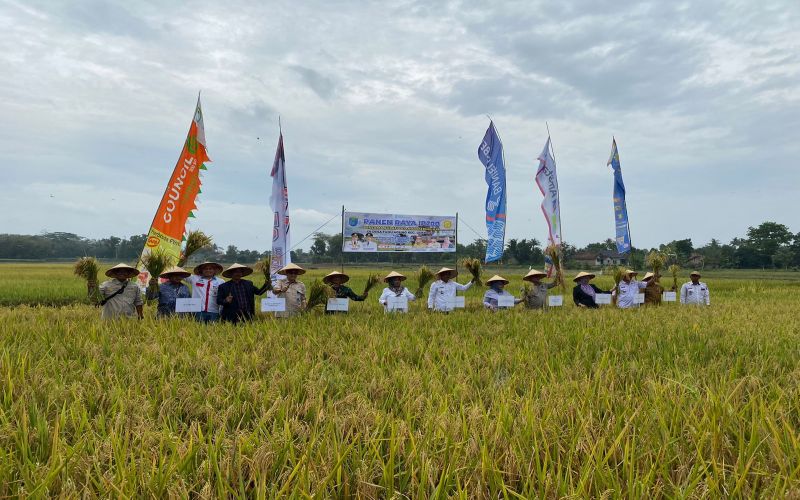  Jaga Ketahanan Pangan, OKI Optimalkan Potensi Lahan Pertanian