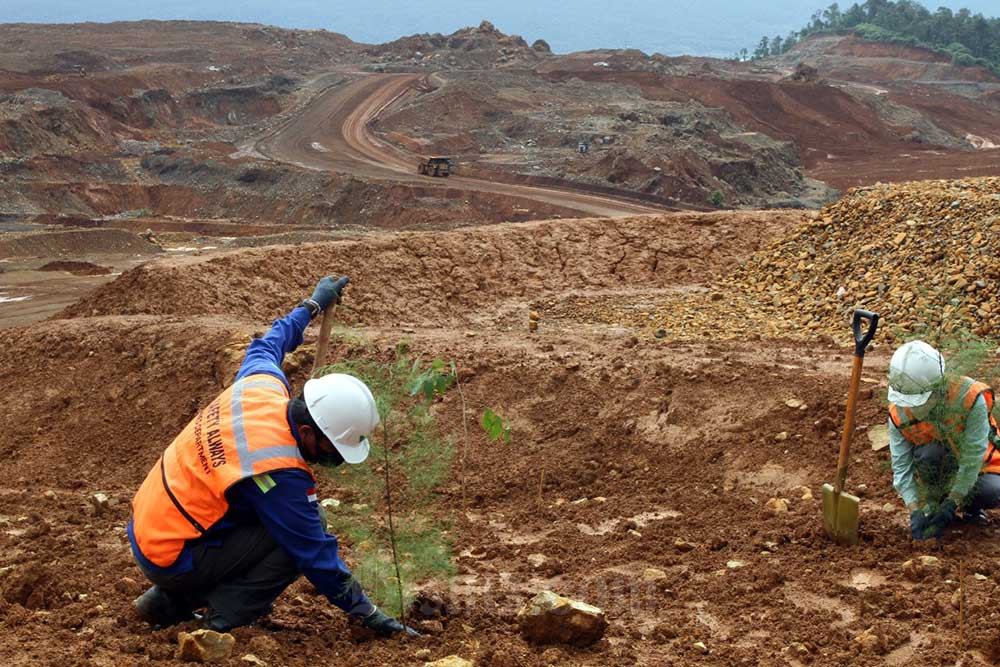  Penanaman Pohon di Lahan Bekas Tambang Nikel Milik PT Vale Indonesia