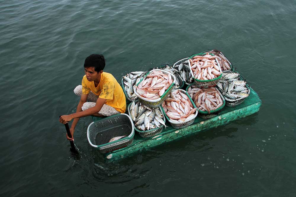  Harga Ikan di Sulawesi Selatan Alami Kenaikan