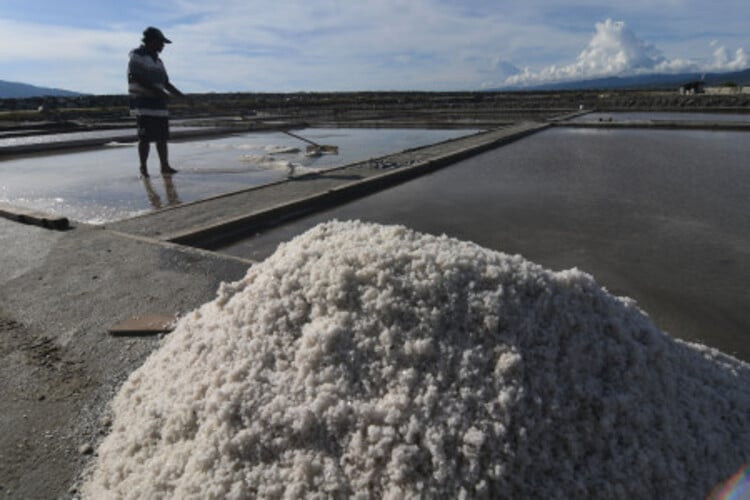  Produksi Naik, Industri Janji Serap 1 Juta Ton Garam Lokal