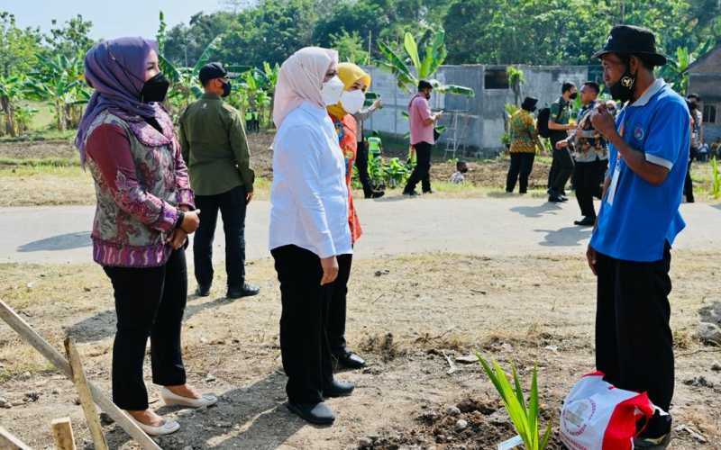 Antisipasi krisis pangan, Jokowi mendorong pemanfaatan lahan pekarangan dan lahan tidak produktif untuk ditanami komoditas pangan seperti kelapa genjah. Ibu Iriana berdialog dengan petani kelapa genjah / Setpres