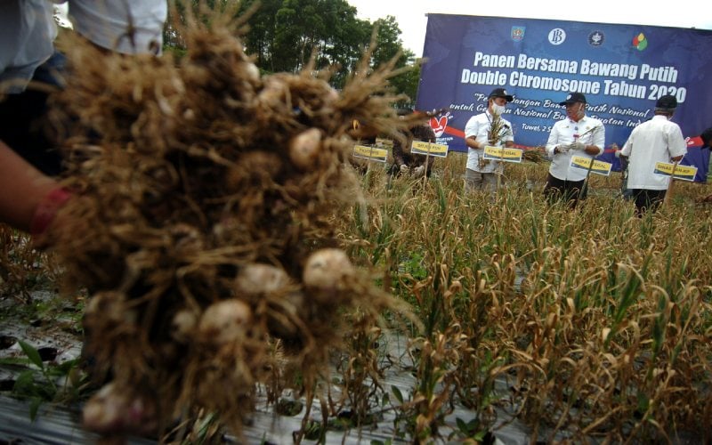  Gandeng Tim Ganjar Pranowo, Ini Strategi BI Atasi Lonjakan Inflasi Pangan