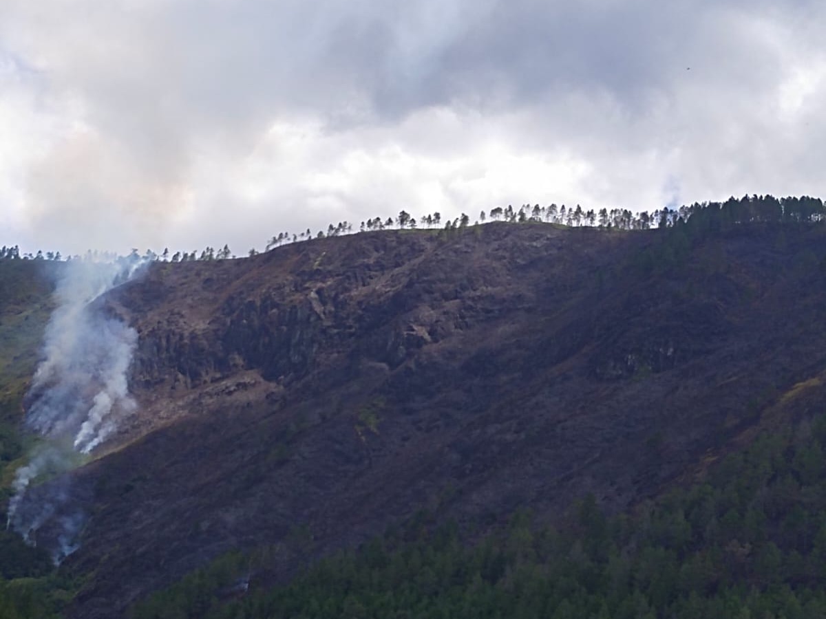  Titik Panas di Sumut Meningkat 942 Persen, Kebakaran Hutan Terluas Melanda Samosir