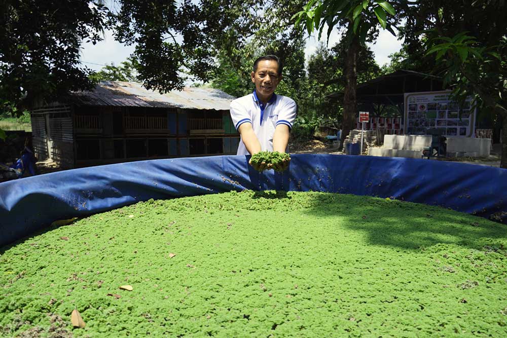  Pertanian Terpadu di Agrowisata Bank Sampah