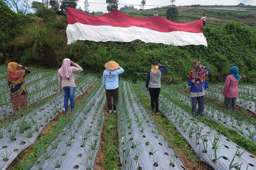  Petani lereng Gunung Merbabu Kibarkan Bendera Merah Putih di Lahan Pertanian