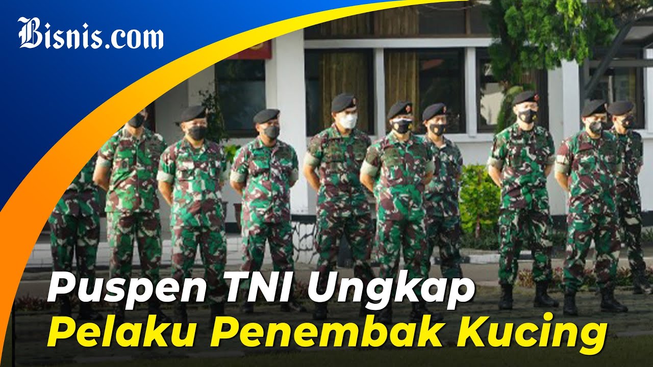  TNI Akan Proses Hukum Jendral Bintang Satu Penembak Kucing