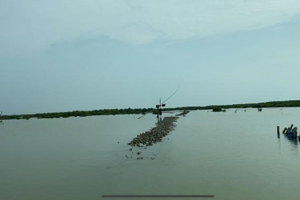  Petani Garam di Cirebon Gigit Jari, Kembali Dilanda Gagal Panen