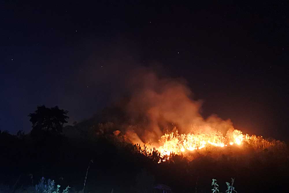  Hutan Milik Perhutani di Jawa Timur Hangus Terbakar