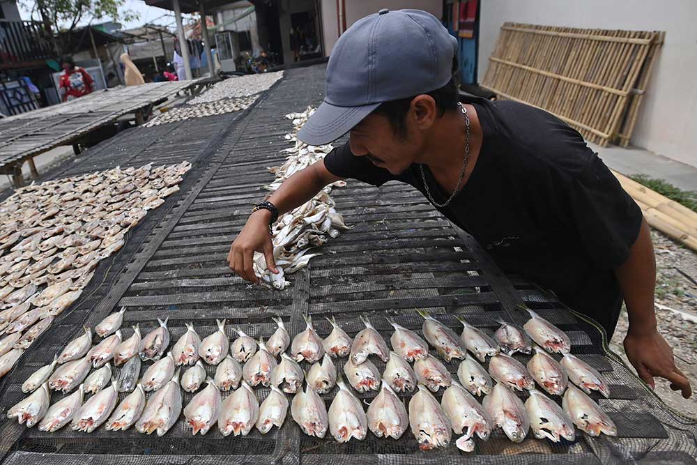  Ikan Asin dari Kampung Nelayan Dijual Seharga Rp25.000-Rp40.000 Per Kilogram