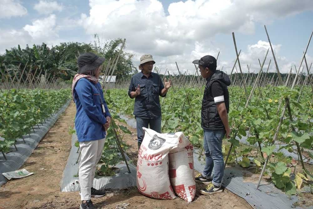  Jelajah Agri Pupuk Kaltim 2022, Tips Menanam Melon dan Semangka agar Panen Optimal