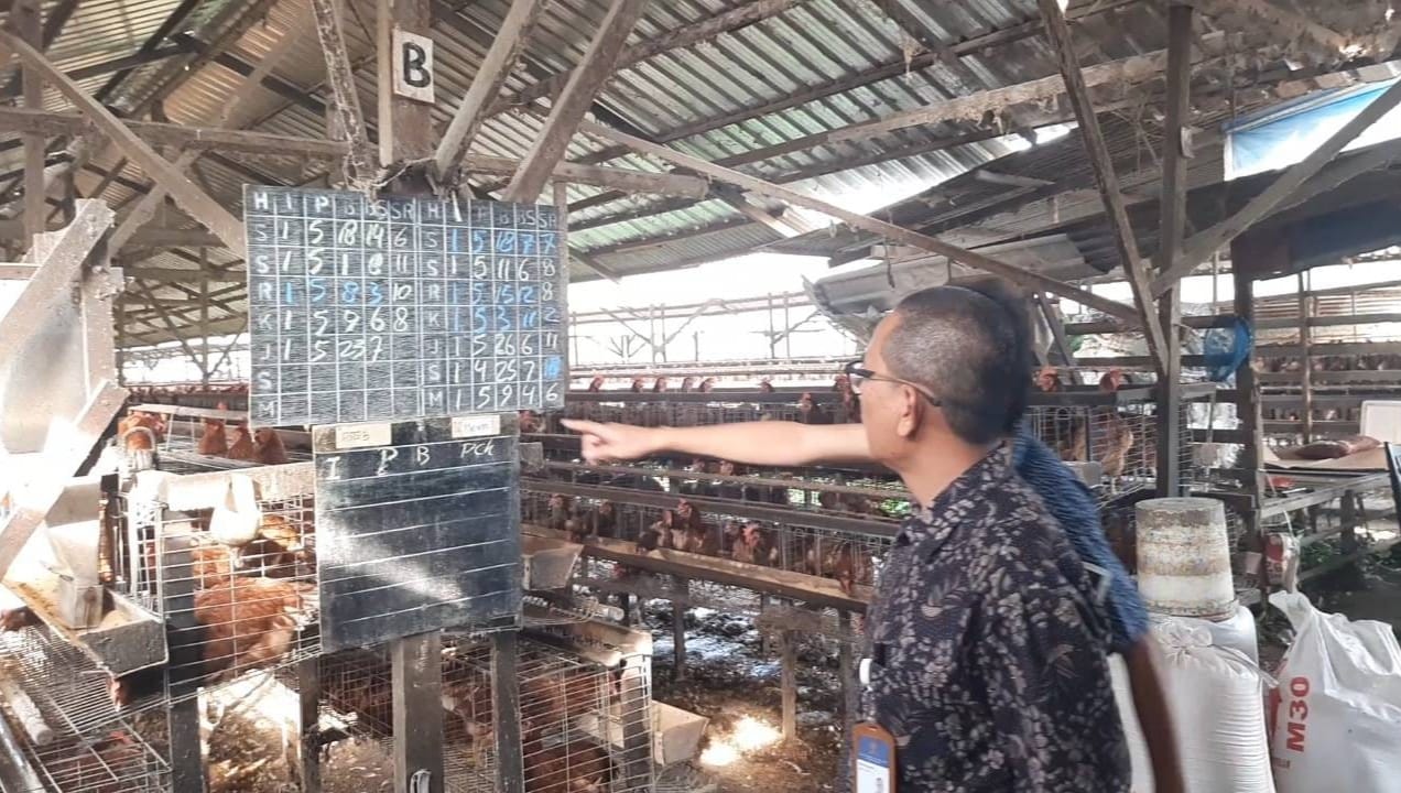Kepala Kantor KPPU Wilayah I Ridho Pamungkas saat meninjau harga telur ayam milik peternak di Kabupaten Deli Serdang, Sumatra Utara, Jumat (26/8/2022). / Istimewa