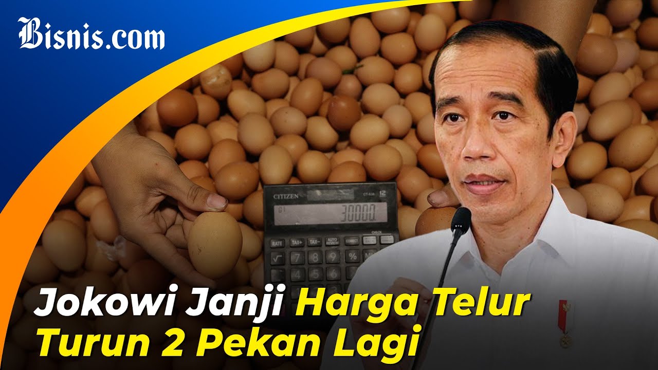  Harga Telur Ayam Tinggi, di Papua Nyaris Rp40.000 per Kg