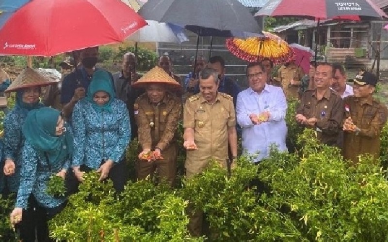  Berbagai Upaya TPID dan Pemprov Riau Stabilkan Harga Cabai Merah