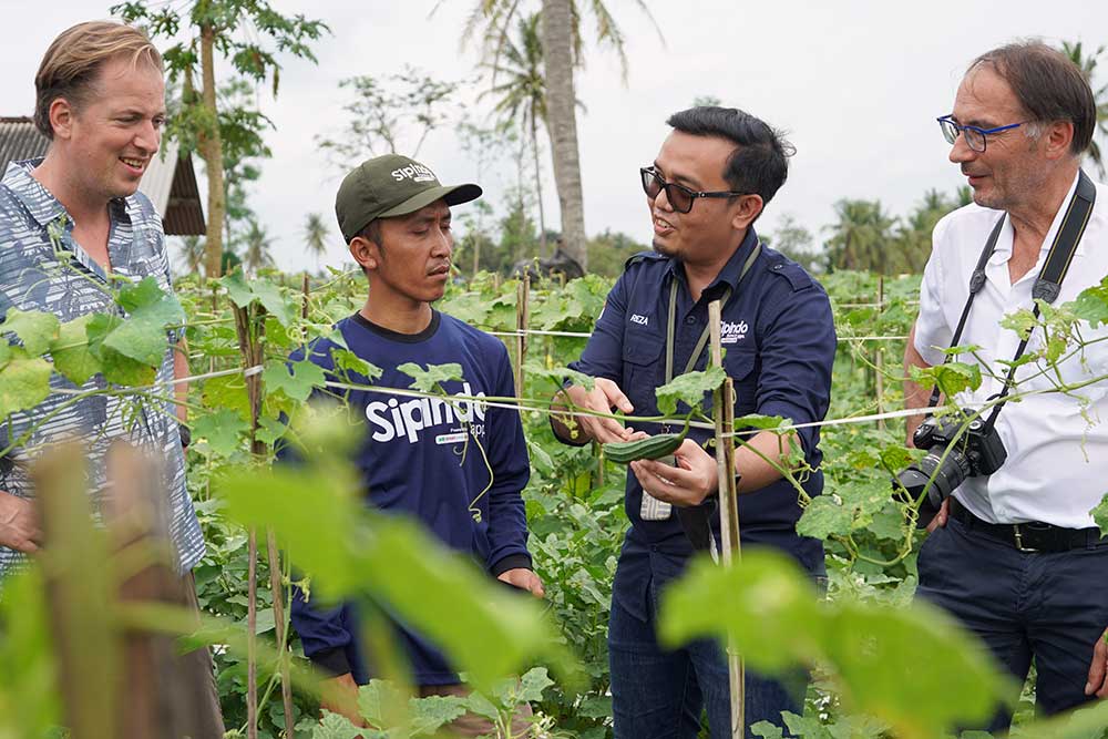  SIPINDO Tingkatkan Produksi Petani