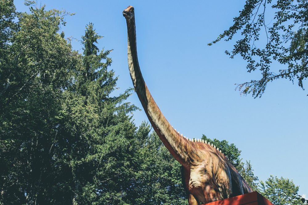 Nama-Nama Dinosaurus yang Mungkin Kamu Belum Tahu