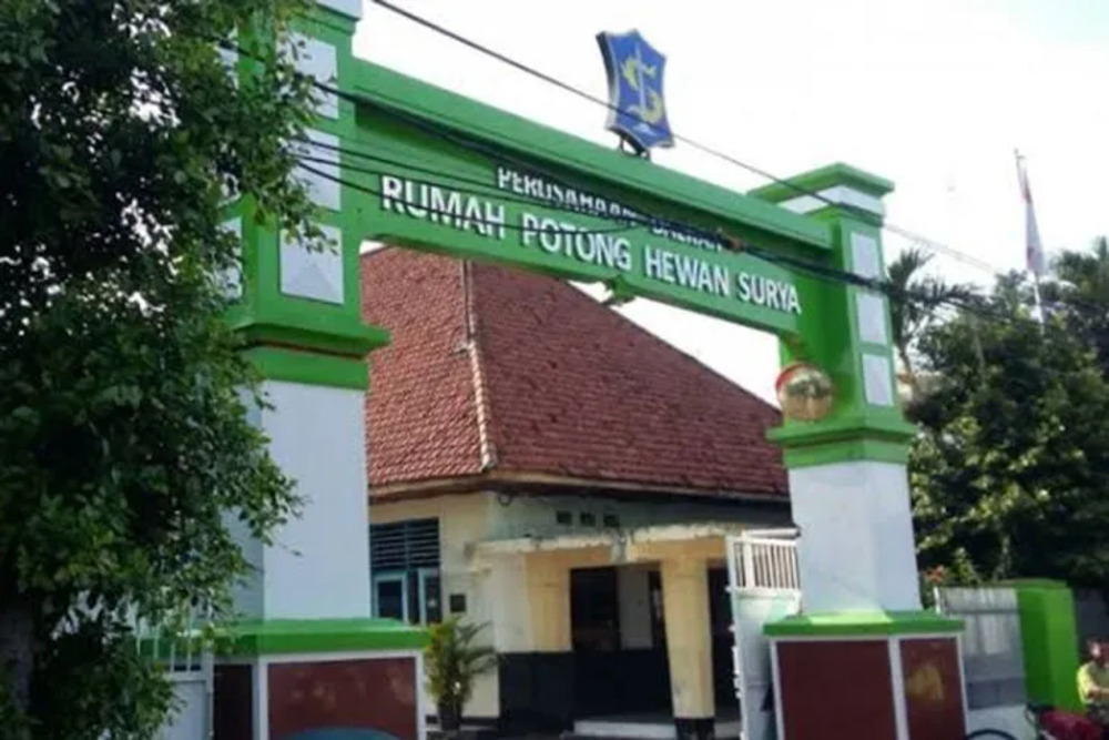  RPH Surabaya Minta Penyertaan Modal Rp2 Miliar, Legislator Mengkritisi