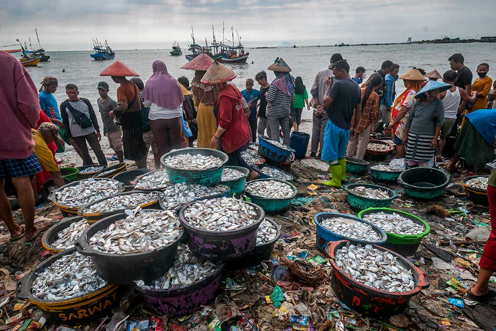  Harga Ikan Laut Mulai Merangkak Naik AkibatKenaikan Harga BBM