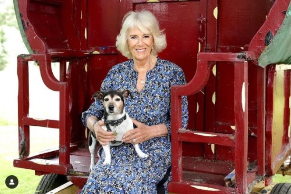 Pangeran Charles naik tahta memimpin Kerajaan Inggris dengan gelar Raja Charles III pasca-kematian Rau Elizabeth II pada Kamis (8/9/2022).rnAdapun istrinya, Camilla begelar “Ratu Permaisuri”. JIBI/Bisnis-Nancy Junita @buckinghampalaceroyal