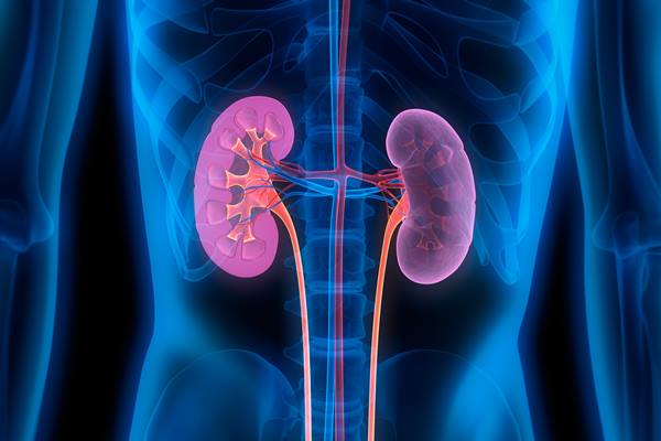  Apa Itu Penyakit Albuminuria, dan Apa Saja Gejalanya
