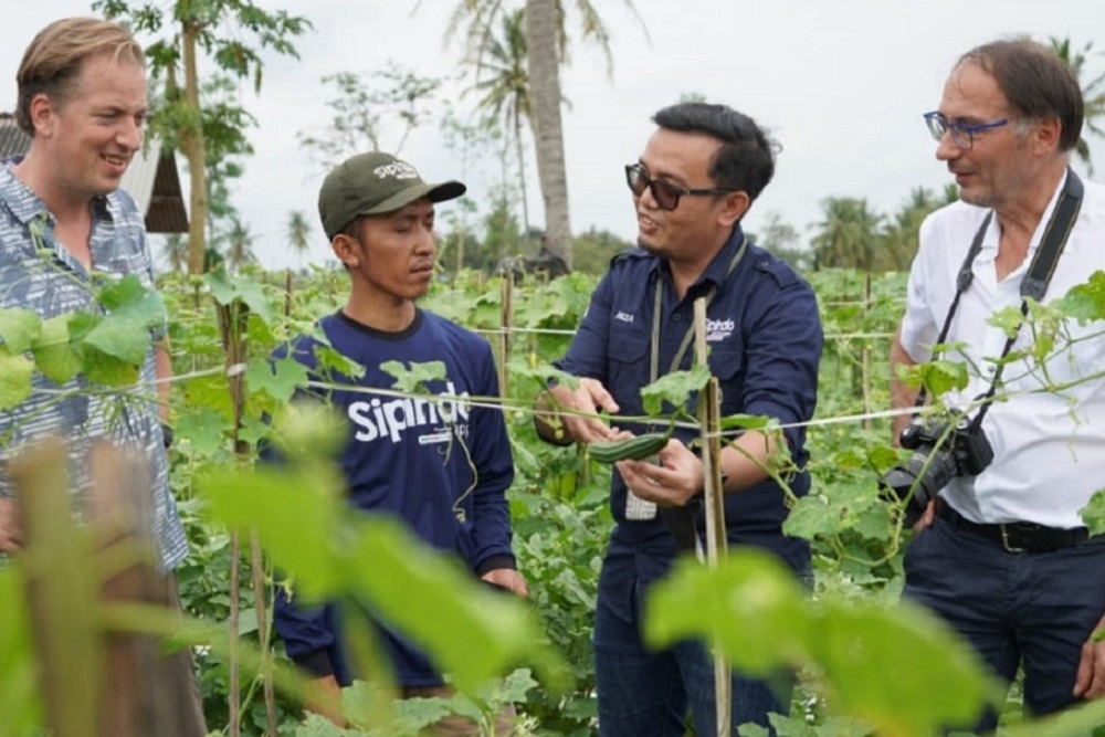  Aplikasi Sipindo Bantu Produksi Petani Tumbuh 22 Persen