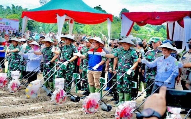  TNI AD dan Pertamina Hulu Rokan Kembangkan Tanaman Pangan Seluas 100 Ha