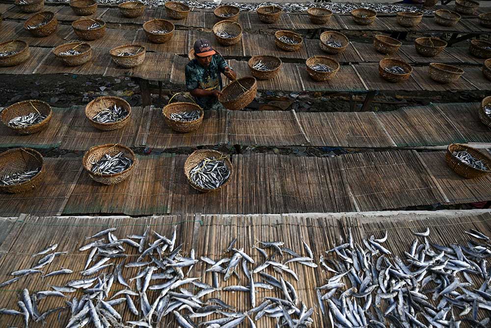  Penjualan Ikan Layang Tidak Terpengaruh Naiknya Harga BBM