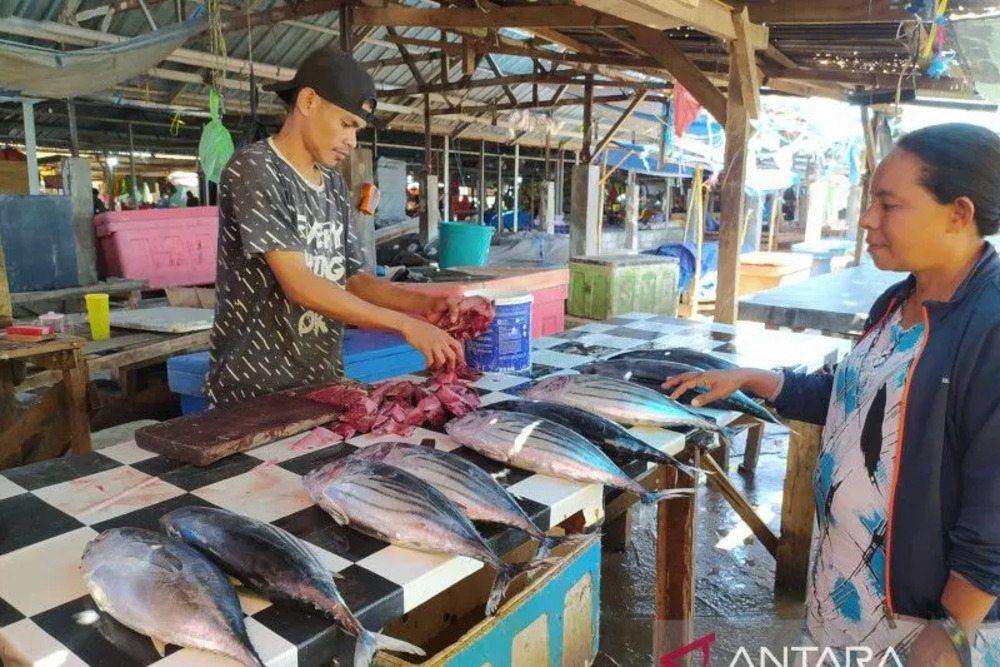 Harga Ikan Laut di Kupang Naik 20 Persen