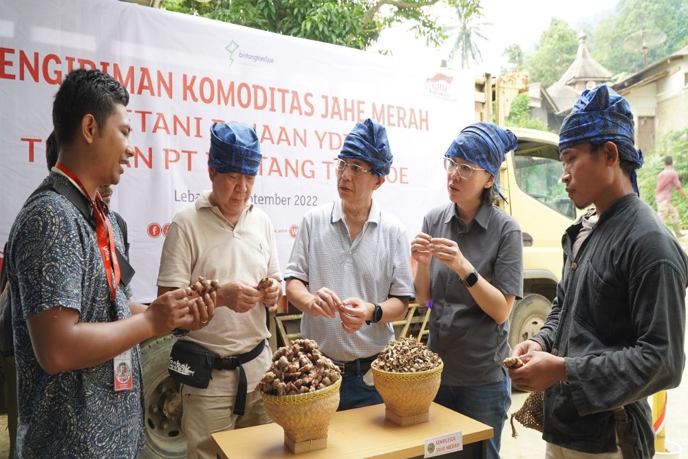  Petani Jahe Merah Binaan Astra Nikmati Kenaikan Omzet