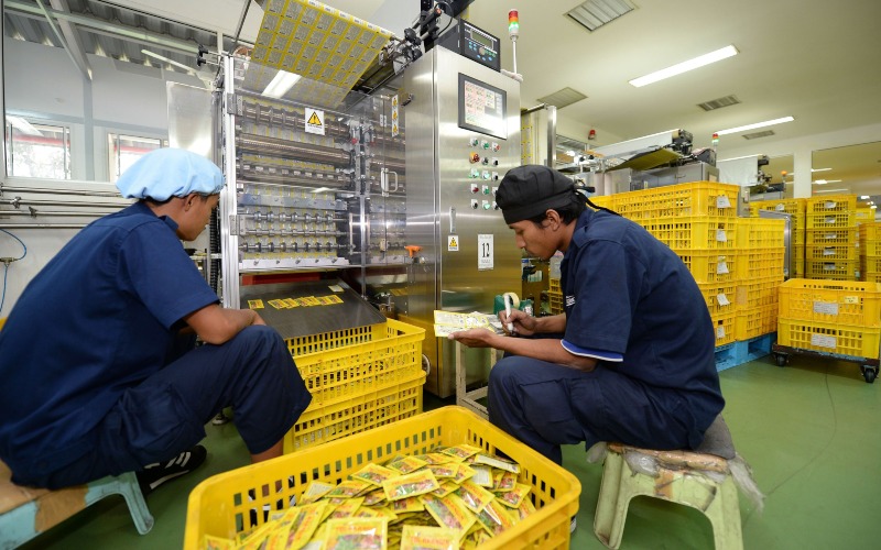 Pekerja memilah sachet Tolak Angin di bagian pengemasan pabrik PT Industri Jamu Dan Farmasi Sido Muncul Tbk. (SIDO) di Semarang, Jawa Tengah, Indonesia, Senin (10/2/2014). Bloomberg/Dimas Ardian