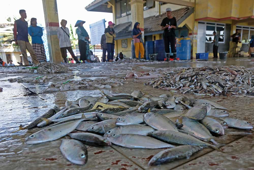  Hasil Tangkapan Nelayan Turun Hingga 50 Persen Akibat Cuaca Buruk