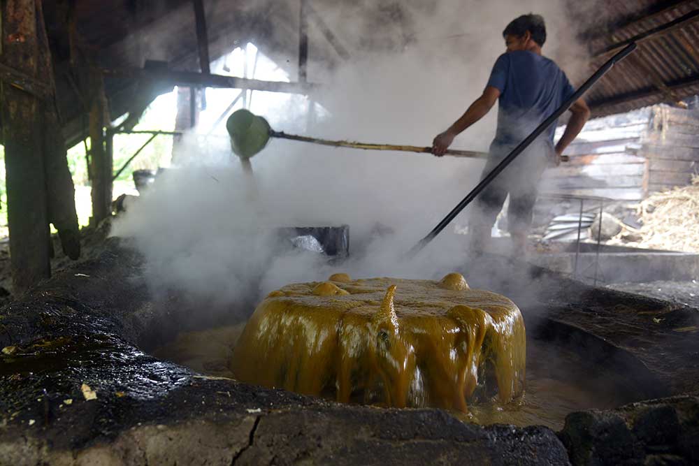  Produksi Gula Tebu Tradisional di Aceh Alami Peningkatan Menjadi 600 Kilogram Per Hari