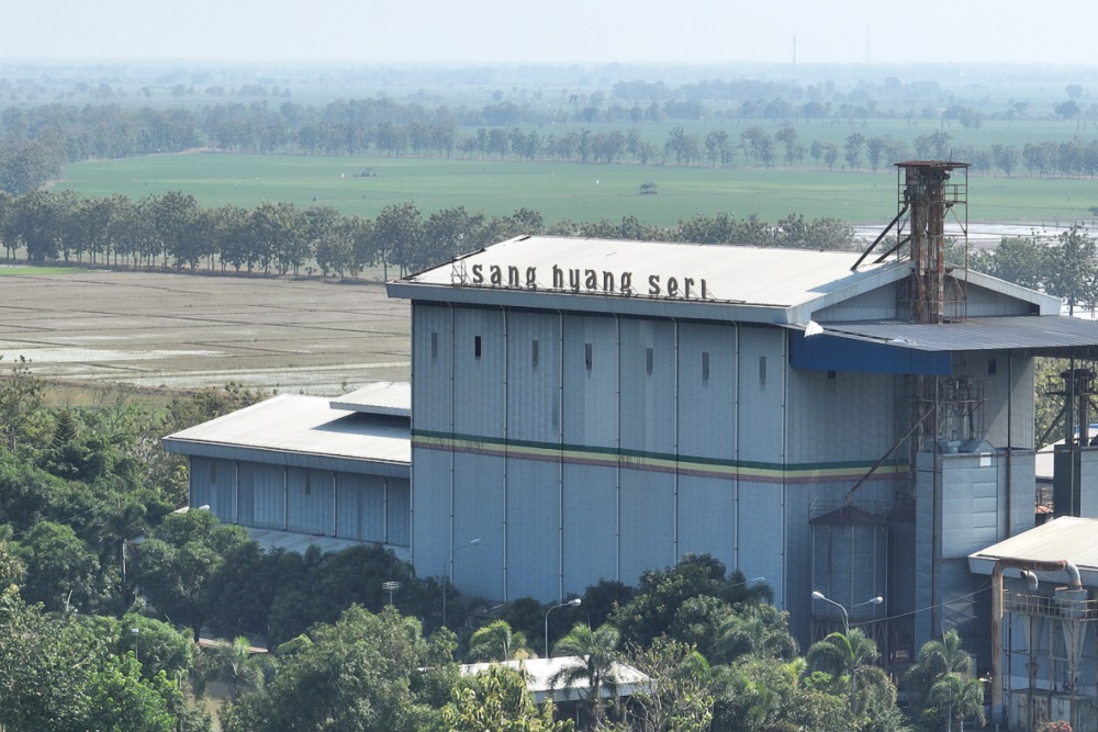  Sang Hyang Seri Pasok Benih Padi untuk 300.000 Ha Sawah