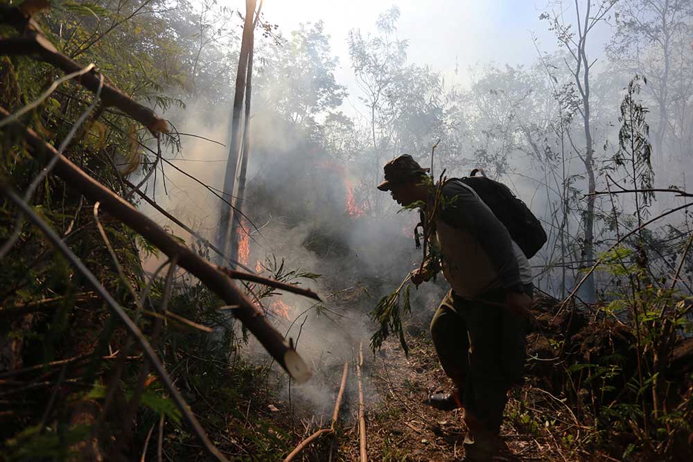  Kebakaran Terjadi di Kawasan Taman Nasional Gunung Ciremai